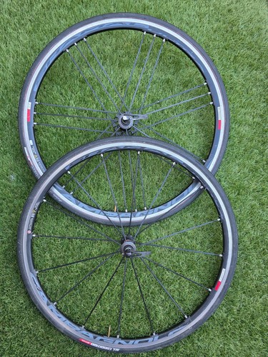 Campagnolo shamal ultra - shamal,