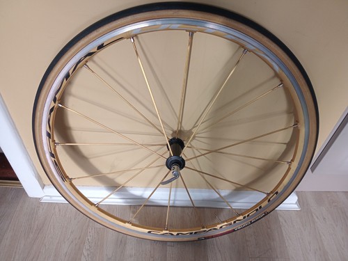 Gold shamal ultra front wheel - ultra,