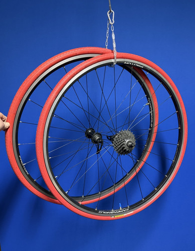Campagnolo proton - campagnolo, 28"