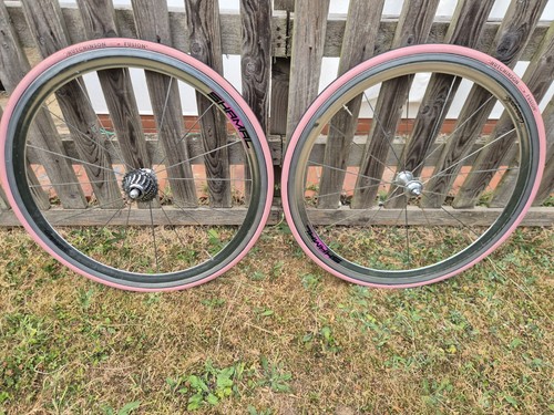 Campagnolo shamal speichen - shamal,