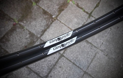 Campagnolo omega rim 36 - omega,