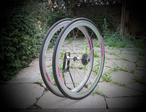 Campagnolo shamal hpw 8 - shamal,