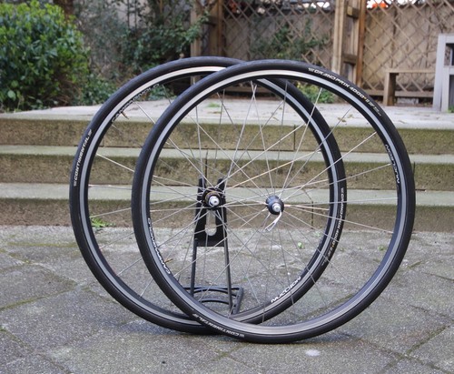 Campagnolo nucleon asymmetric - campagnolo,