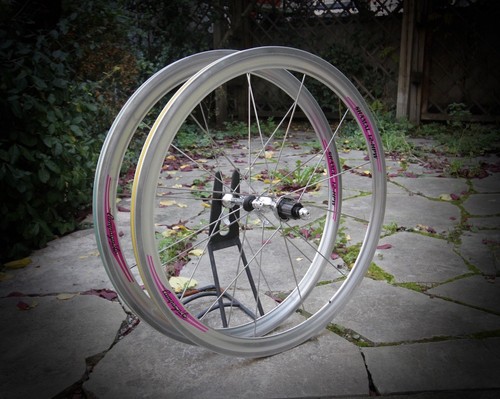 Campagnolo shamal hpw - campagnolo, 8