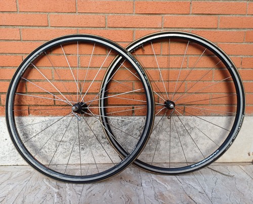 Campagnolo nucleon laufräder - campagnolo,