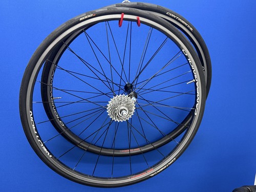 Campagnolo neutron - campagnolo, 28"