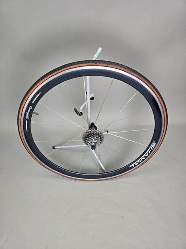 Laurad felge hinten campagnolo - felge,